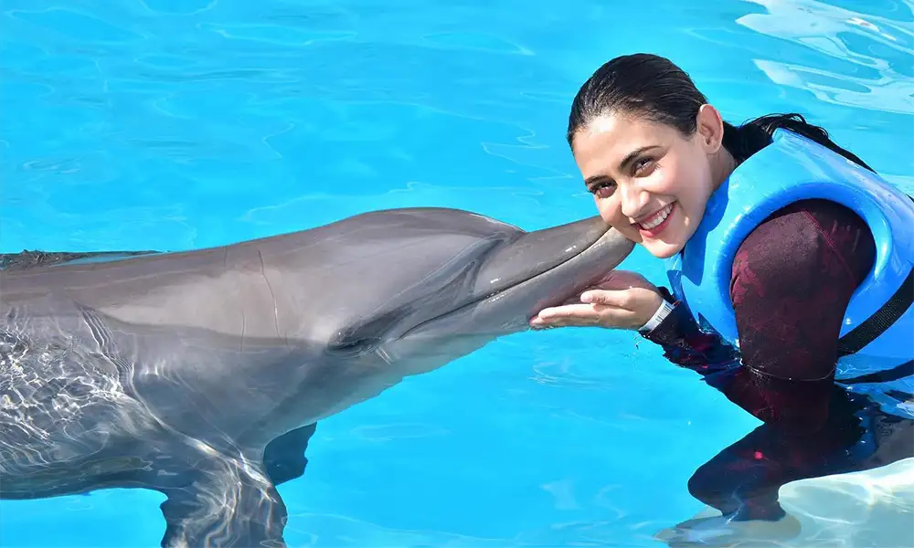 Mehazabien With Dolphins In Mexico